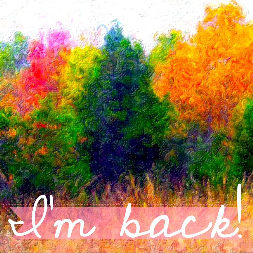After taking a hiatus, I am back!